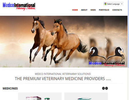 Medco International Website
